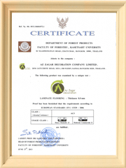CE Certificate