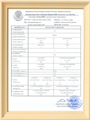 E1 Safety Standard Certificate